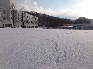 大雪の多目的広場