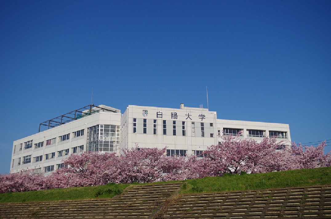 桜と本校舎