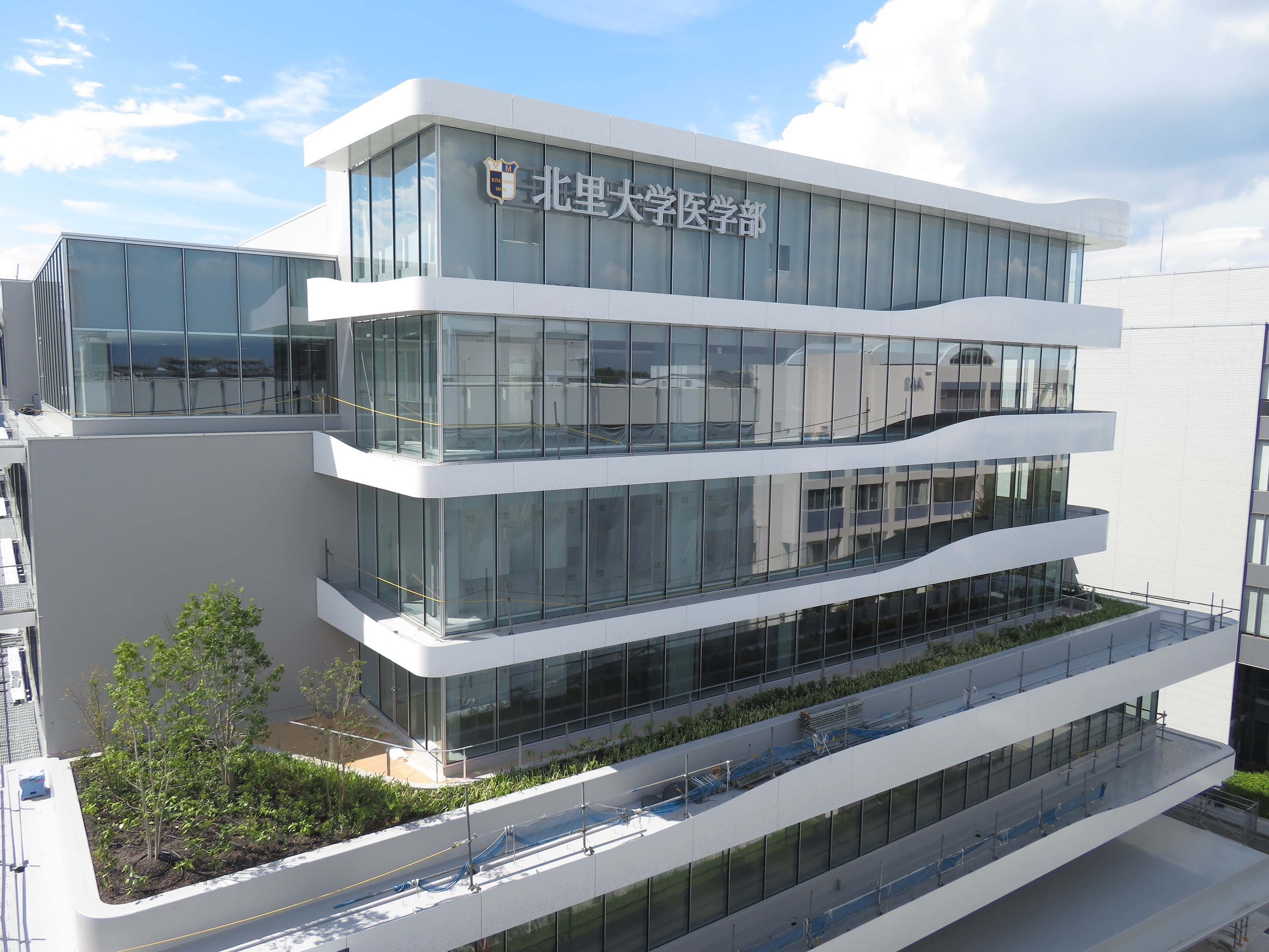 北里大学 医学部 2024 2024年北里大学医学部数学｜magico
