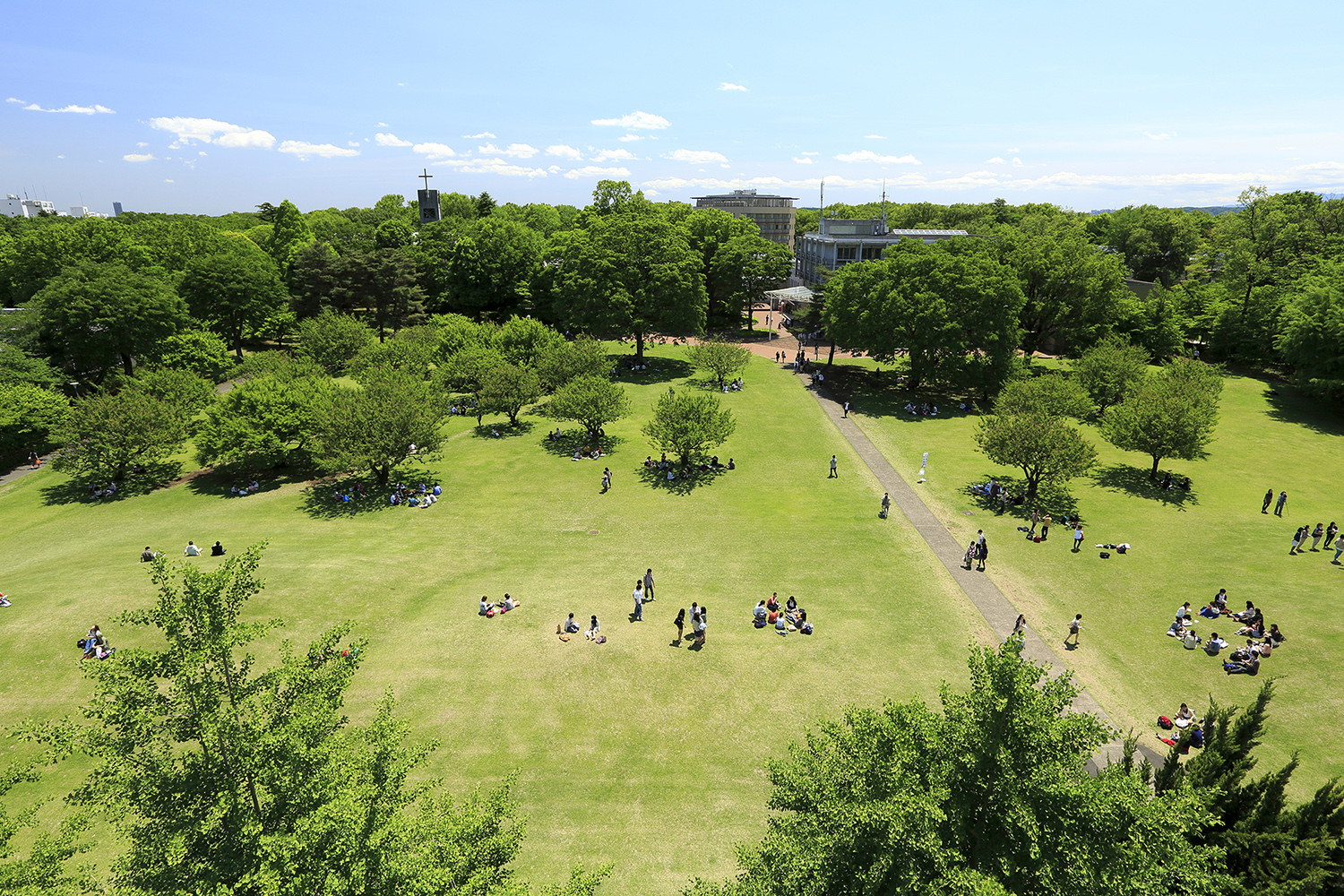 大学本館から眺めるキャンパス風景