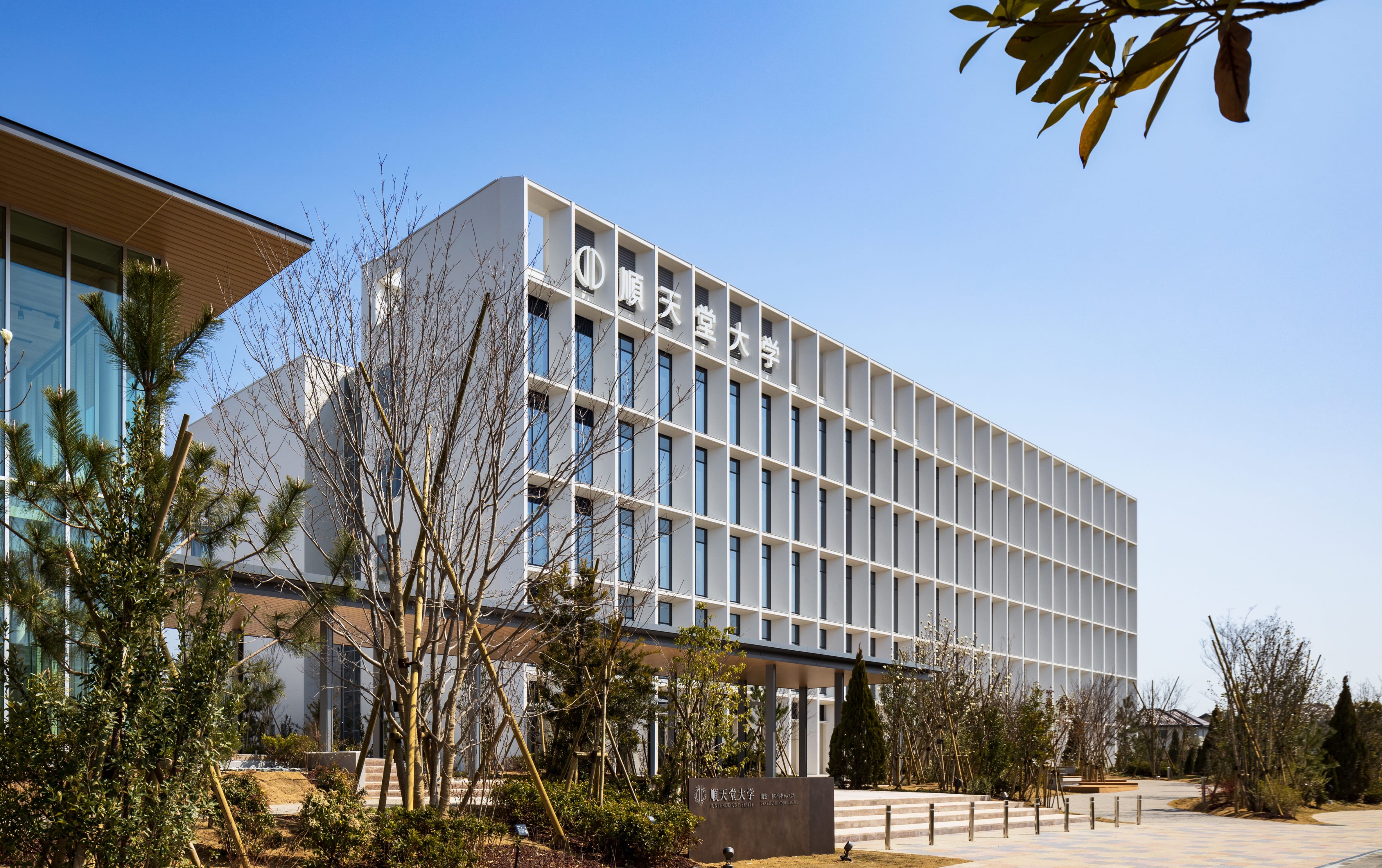 順天堂大学医学部　大阪医科薬科大学医学科 330px-大阪医科薬科大学.png