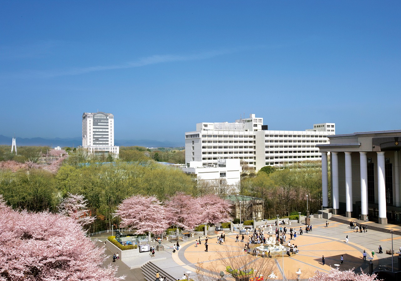 八重桜やソメイヨシノ、シダレザクラなど2500本の桜が満開となる春のキャンパス