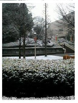 町田キャンパス　冬