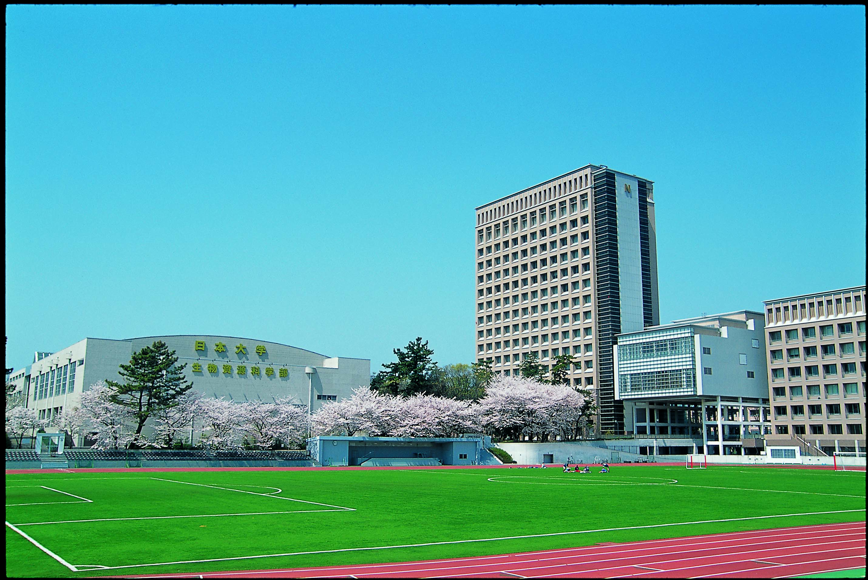 日本大学 生物資源科学部 E Tokoアカデミー