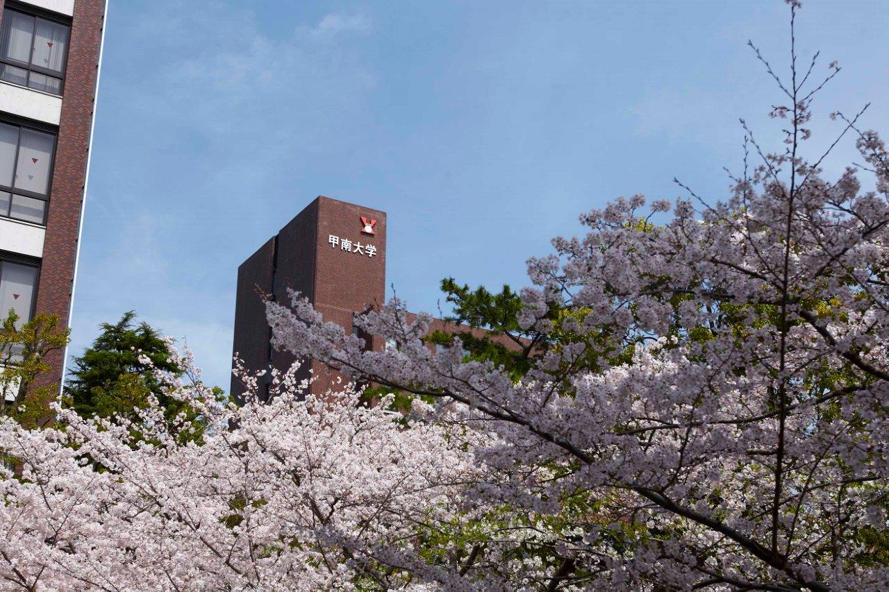 入学式シーズンの岡本キャンパスは各所で桜が咲いていてとても綺麗です