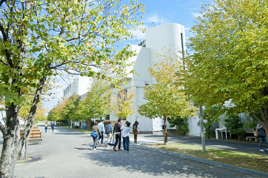 兵庫大学�
