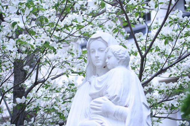 慈しみのマリア像