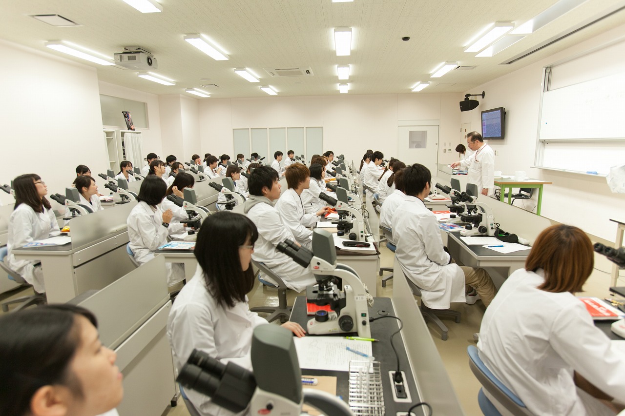 【臨床技術学科】最新のデジタル顕微鏡を学生1名につき1台配置